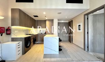 1 bedroom apartment to rent - Arabian Estates